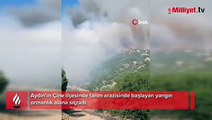 Aydın'da orman yangını! Müdahale sürüyor