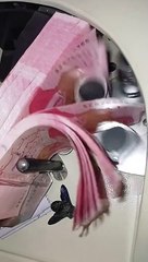 which_insect_is_this#cashcountingmachine_#money_#moneygirl_#trendig_#viraltiktok_#viral_#foryou_