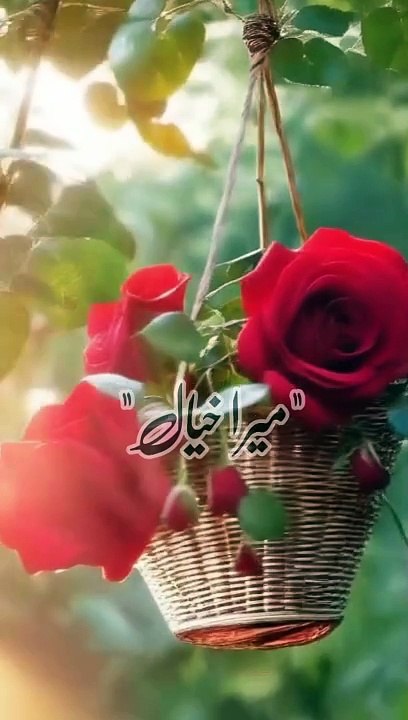 Islamic vlogs and Islamic videos #islamicvlog #islamicvideo #urdusadpoetry #viral #aqwalezareen