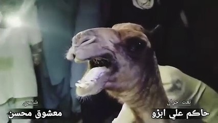 District Sanghar Sindh mn beghairat nasul wadery ne Camel Aonthnee ki tang ko kat deya