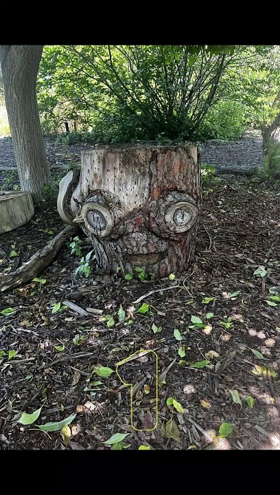 Seeing Faces in Everyday Objects - Part 48