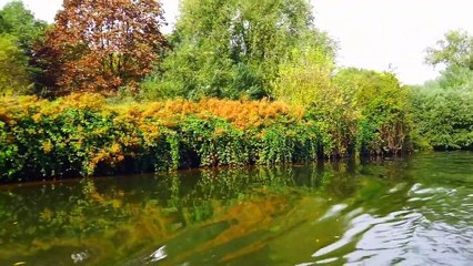Mang sáo sang Sông - Sáng tác Phí Bằng