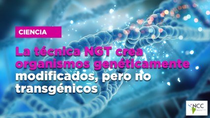 La técnica NGT crea organismos genéticamente modificados, pero no transgénicos