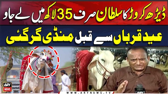 Maveshi Mandi Latest Updates | Eid Ul Adha 2024 | Karachi Mandi Update
