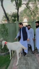 آئی لو یو  عمران خان یوٹیوبر نکمے لوگ