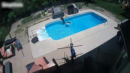 Black German Shepherd Falls Into Pool While Playing in Backyard
