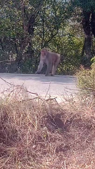 VID_20240616_082348