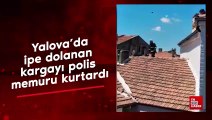 Yalova'da ipe dolanan kargayı polis memuru kurtardı