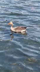 IMG_9524
