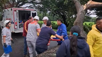 Madre e hijo fallecen debido a un deslizamiento en Rioblanco, Tolima