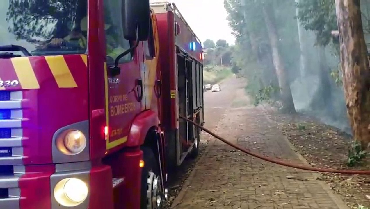 Bombeiros combatem incêndio em plantação de eucaliptos; moradores cobram providências sobre árvores