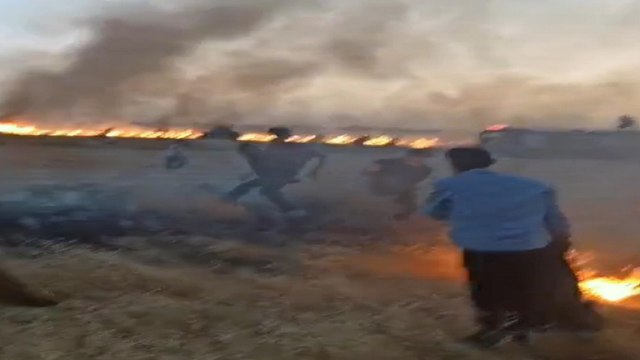 Derik'te 3 ayrı noktada yangın çıktı