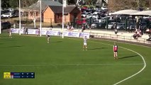 BFNL: Sandhurst's Fergus Greene marks and goals v Castlemaine, rd 9, 2024