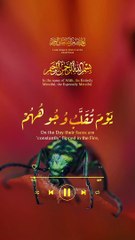 Quran tilawat #islamic #Quran #islam#viralvideos