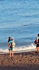 Tubarão assusta turistas em praia na Espanha