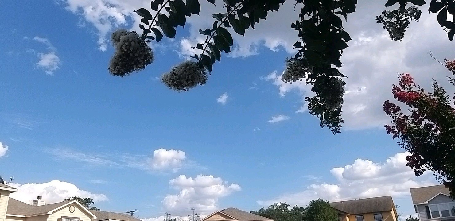 USA TODAY NICE BEAUTIFUL WEATHER