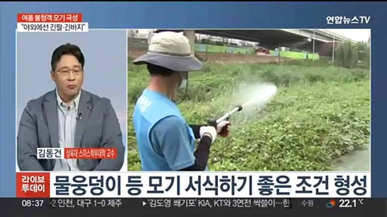 [뉴스초점] "밤새 잠 못 자요"…이른 더위에 모기 1.5배 ↑