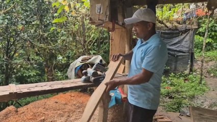 Arquímedes: El Padre Amoroso que Educa a sus 10 Hijos con Recursos Limitados 👨‍👧‍👦