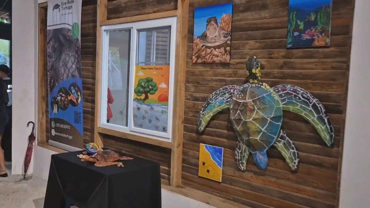 Impulsan proyecto de conservación de tortugas marinas en playa de Veraguas