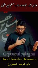 Muslim ka lasha Eid ky din _ mir hasan mir _ NOHA 2024