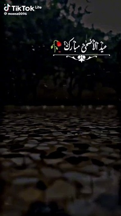 VID-20240617-WA0002