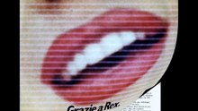 Rarissima brochure della REX TV color 1975