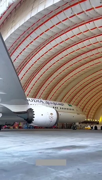 प्लेन से रेस्टोरेंट क्यों बनाए जाते हैं_ _ aeroplane restaurant _