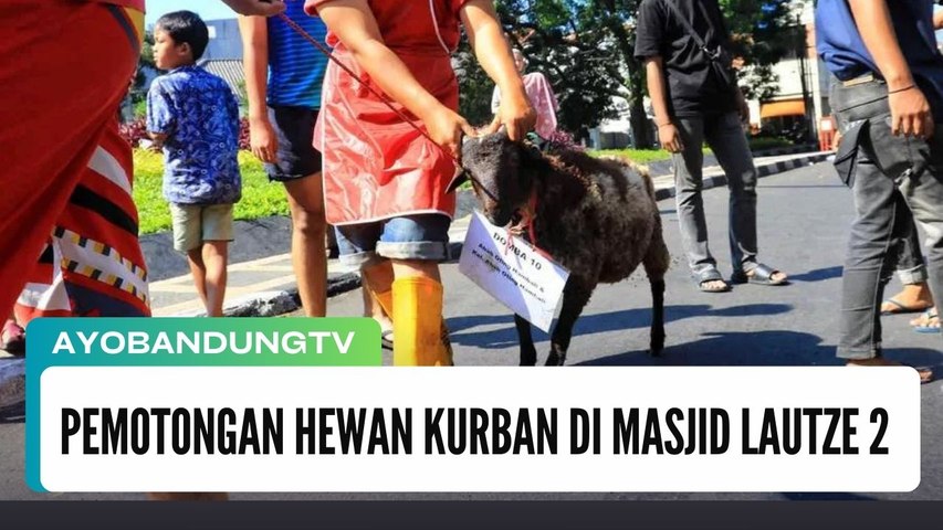 Pemotongan Hewan Kurban Di Masjid Lautze 2