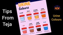 Information about our health in the color of urine | Tips From Teja | Health Tips