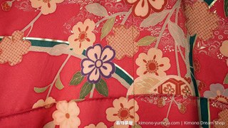 Bold Red with Peach Tachibana & Sakura Silk Furisode - Vintage Formal Japanese Kimono Coming of Age