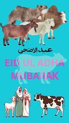 Green and Blue Natural Eid Al Adha Mubarak Mobile Video