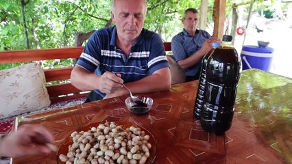 Adana'nın kavurucu sıcağında dutun şifalı yolculuğu başladı