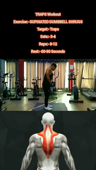 ❌ SUPINATED DUMBBELL SHRUGS ✔️  How can I get Build my TRAPS Bigger?  #heermlgangaputra #naturalbodybuilding #workout #exercise  #fitness #gym #muscle #training