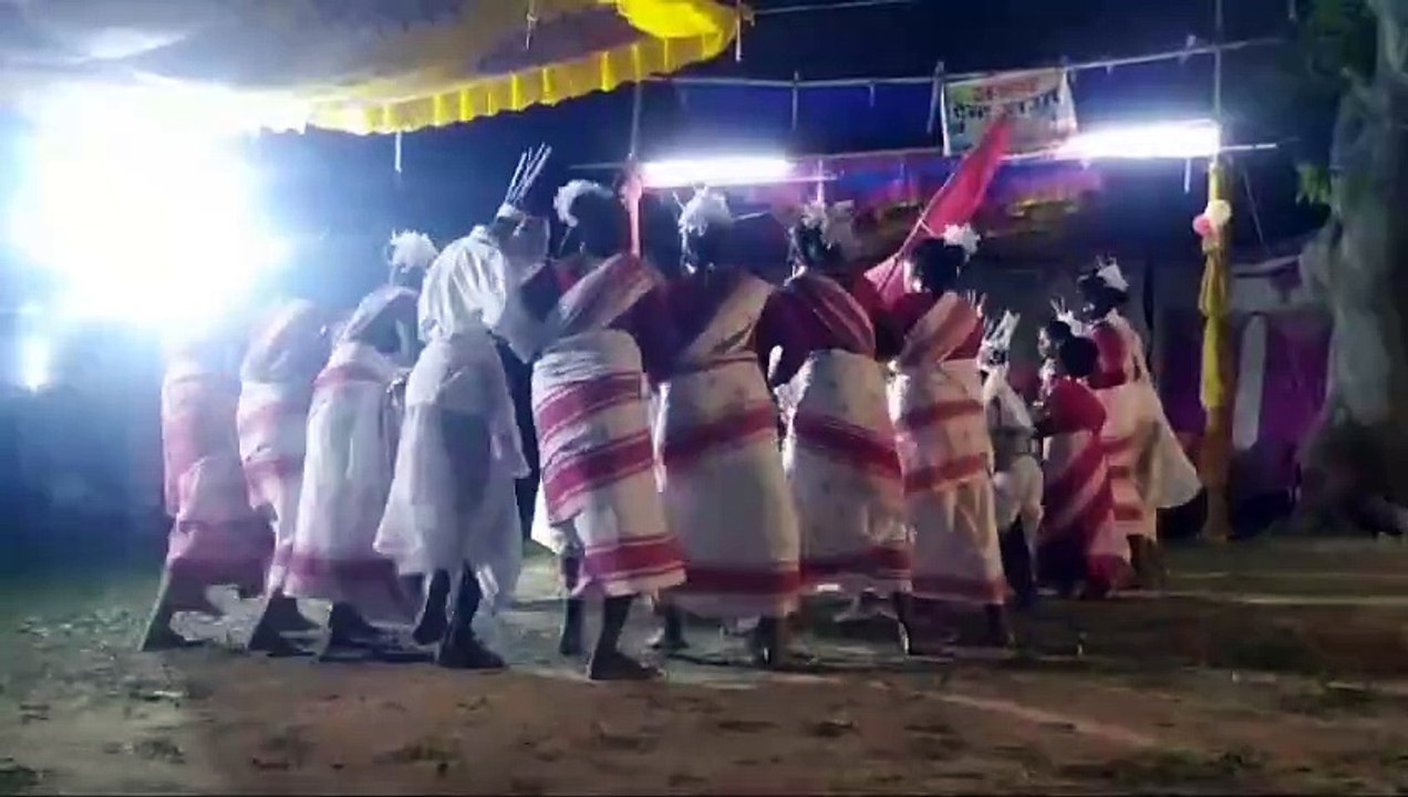 Culture program
