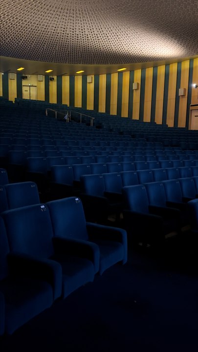 Reportage : Vente aux enchères à l'UGC des Champs-Élysées