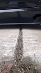 Here are your keys , I think I will look for another job#learnfromkhaby  #commedy