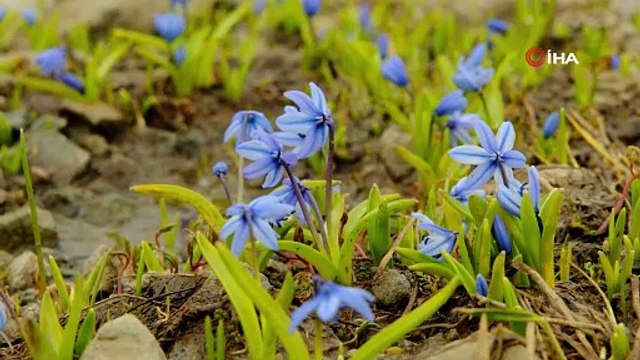 Burası İsveç Alpleri değil, Türkiye... Gizli cennete yaz gelmedi: