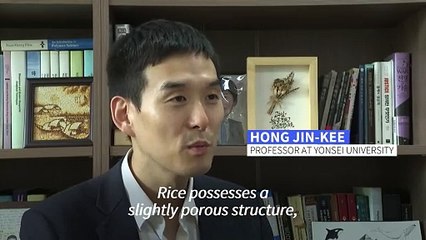 'Meaty rice'? South Korean professor aims to change global protein