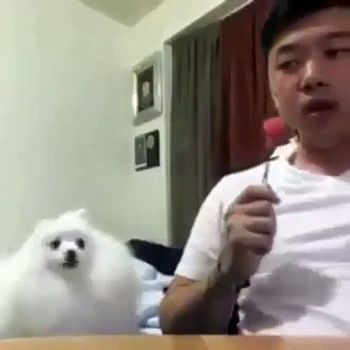 Tag your friends  #follow #foryou