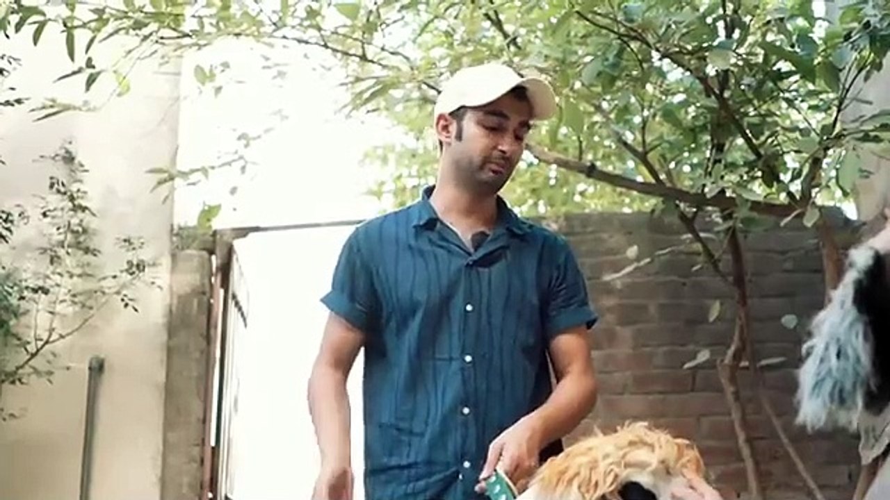 Bakra_Eid_aur_Desi_Muhalleydar___Bakra_Eid_Skit___Eid_2024___Eid_ul_Azha(360p)