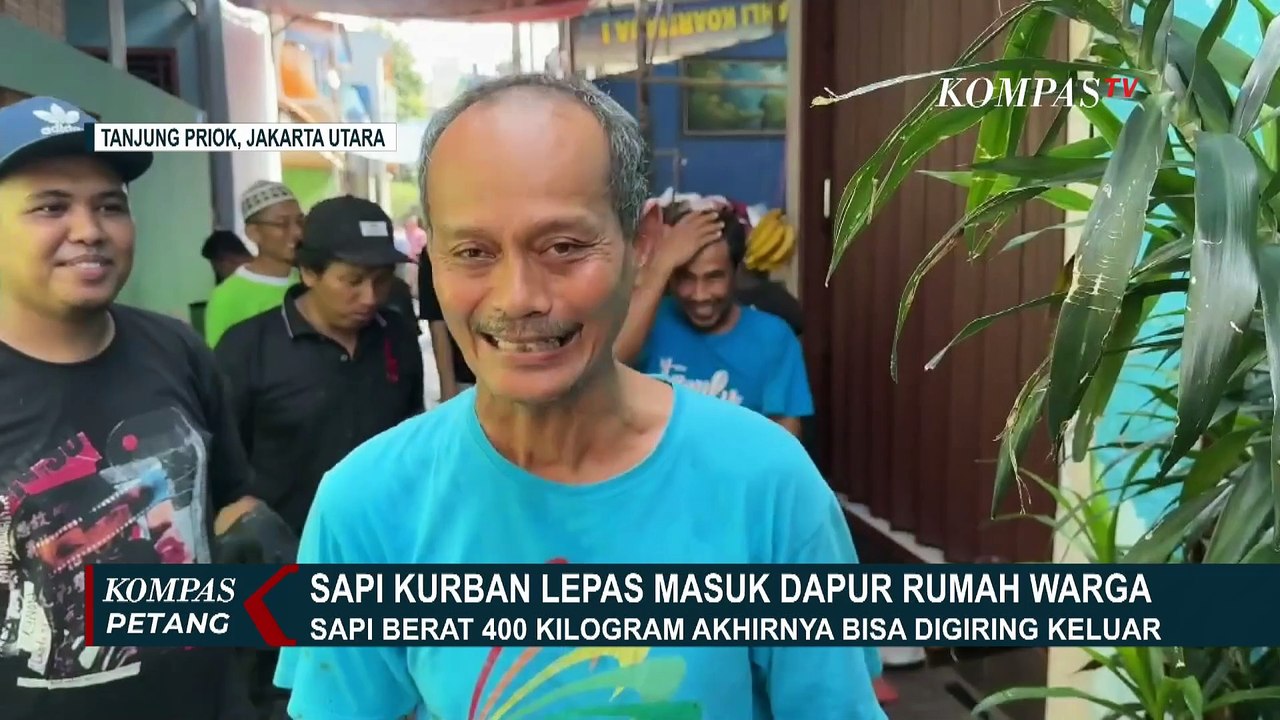 Momen Sapi Kurban di Jakarta Utara Lepas Masuk Dapur Rumah Warga