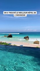 Des chevaux sauvages sur la plage de l’hôtel 