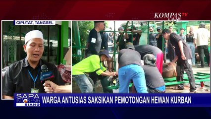 Sapi Simental 1 Ton Sumbangan Presiden Jokowi Disembelih di Masjid Agung Surakarta