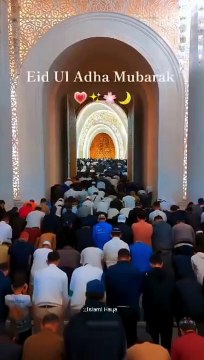 ISLAMIC HADEES | EID SPECIAL | EID UL ADHA | EID | EID VIRAL | EID BEST