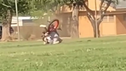 Husband gets the itch to try drifting at a park, instantly regrets it!