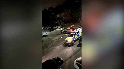 Watch: Moment police car rams into cow in Surrey