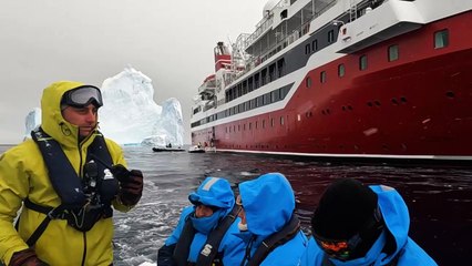 Antarctique : les icebergs