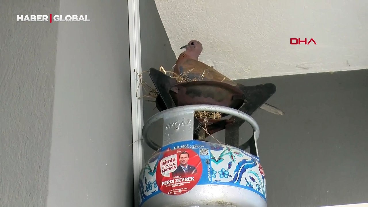 Balkonunu kullanmama sebebi ilgi çekti: "Bize uğur ve şans getiriyor"