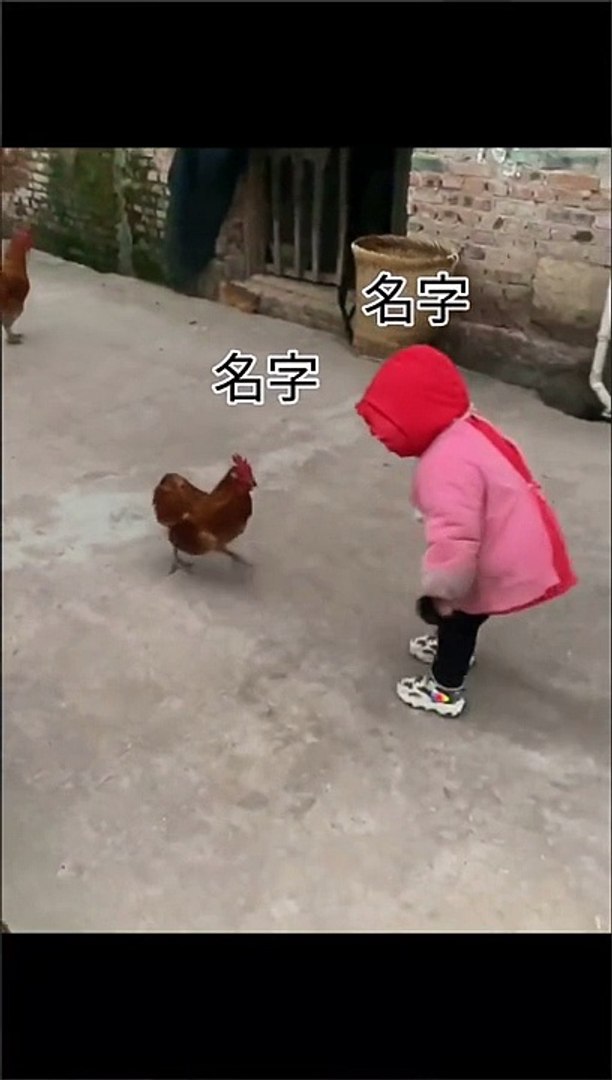 Comedy funny