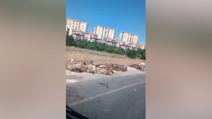Mide bulandıran manzara